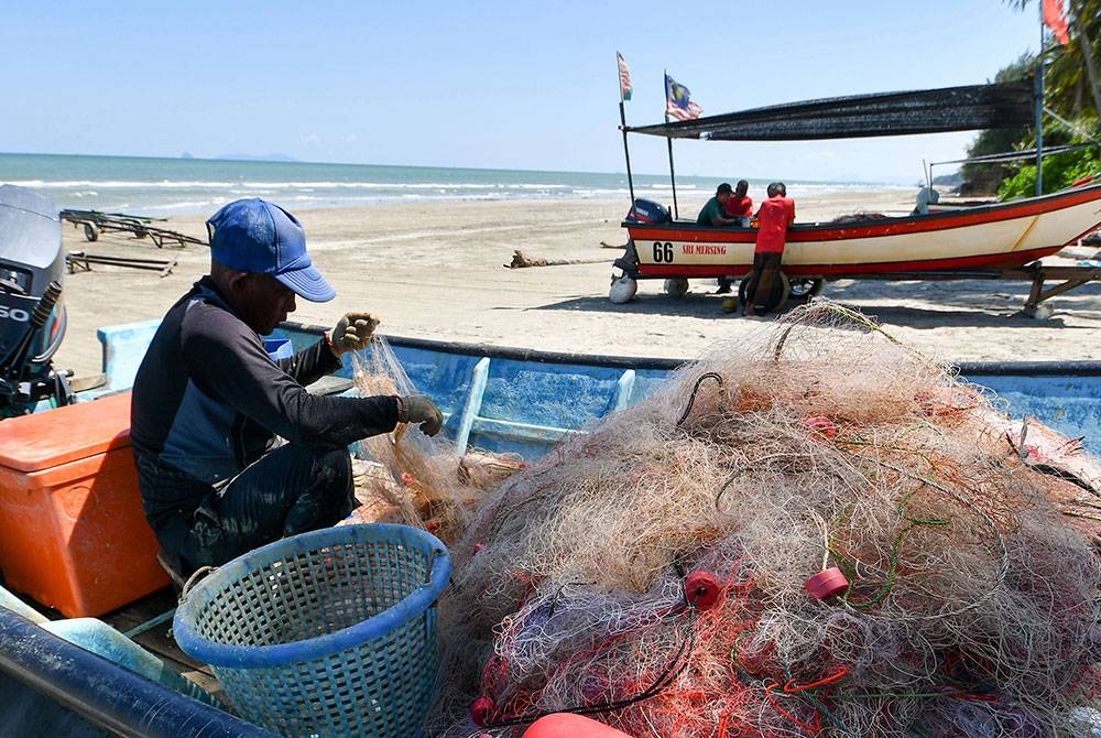 Nelayan mengasingkan hasil tangkapannya sejurus pulang daripada melakukan aktiviti menangkap hasil laut ketika tinjauan foto Bernama di Pantai Canggong hari ini.