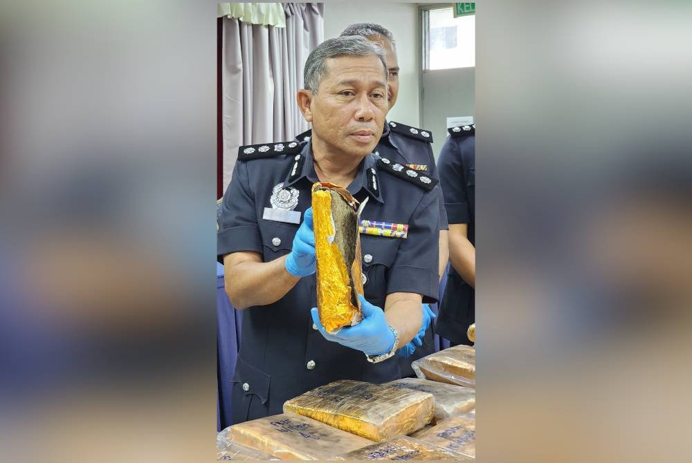 Antara ganja yang dirampas dalam serbuan berkenaan