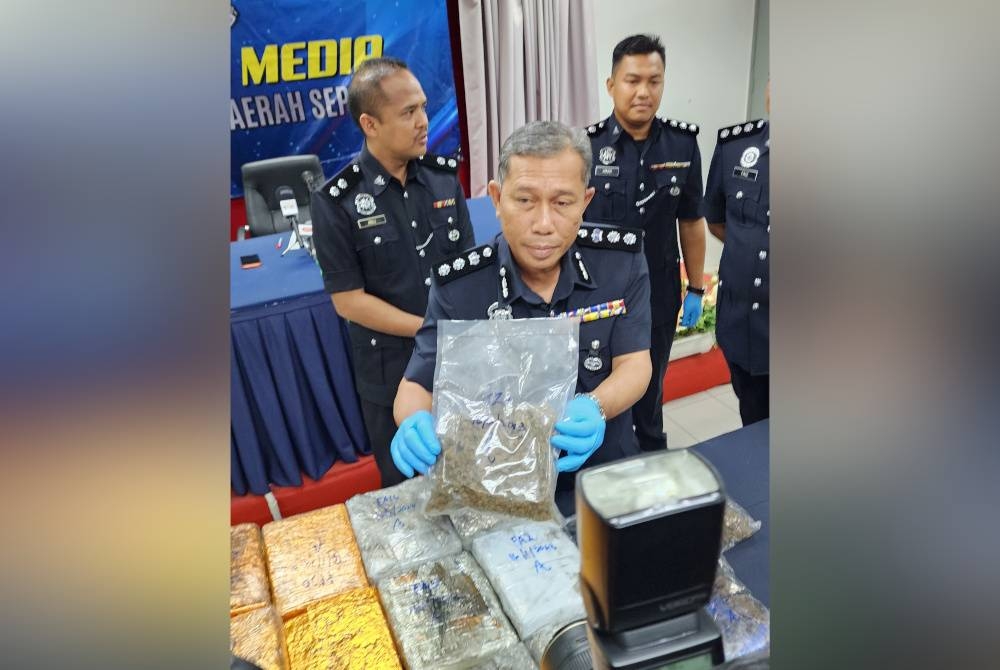 Wan Kamarul Azran menunjukkan pek mengandungi bunga ganja