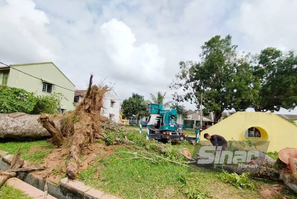 Kerja-kerja penebangan pokok di kawasan permainan di Kampung Balok Baru telah dilakukan oleh pihak berwajib ketika tinjauan Sinar Harian ke lokasi kejadian pada Jumaat.