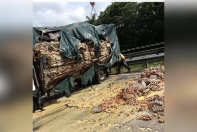 Lori membawa muatan telur terbalik menyebabkan telur pecah dan bertaburan di Kilometer 242.6 PLUS arah utara di Rembau pada Jumaat. - Foto sumber Facebook