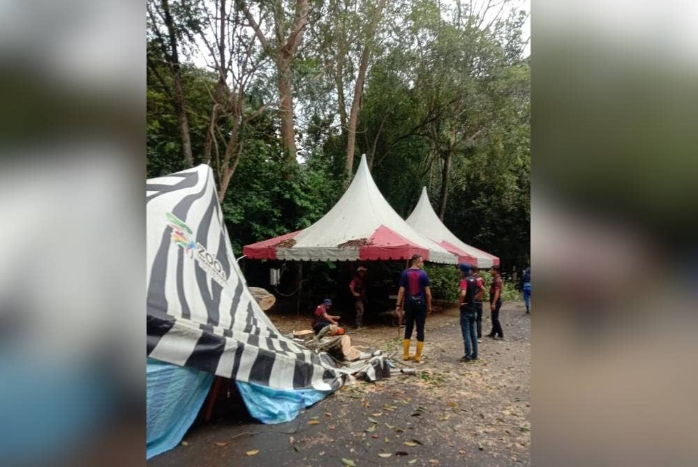 Kawasan Pameran Harimau yang berlaku kejadian pokok tumbang di Zoo Melaka pada petang Ahad.