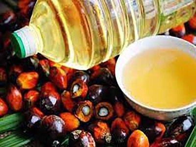 Malaysia dan Indonesia akan membincangkan strategi terhadap keputusan EU yang mengeluarkan minyak sawit daripada penghasilan biodiesel. - Gambar hiasan