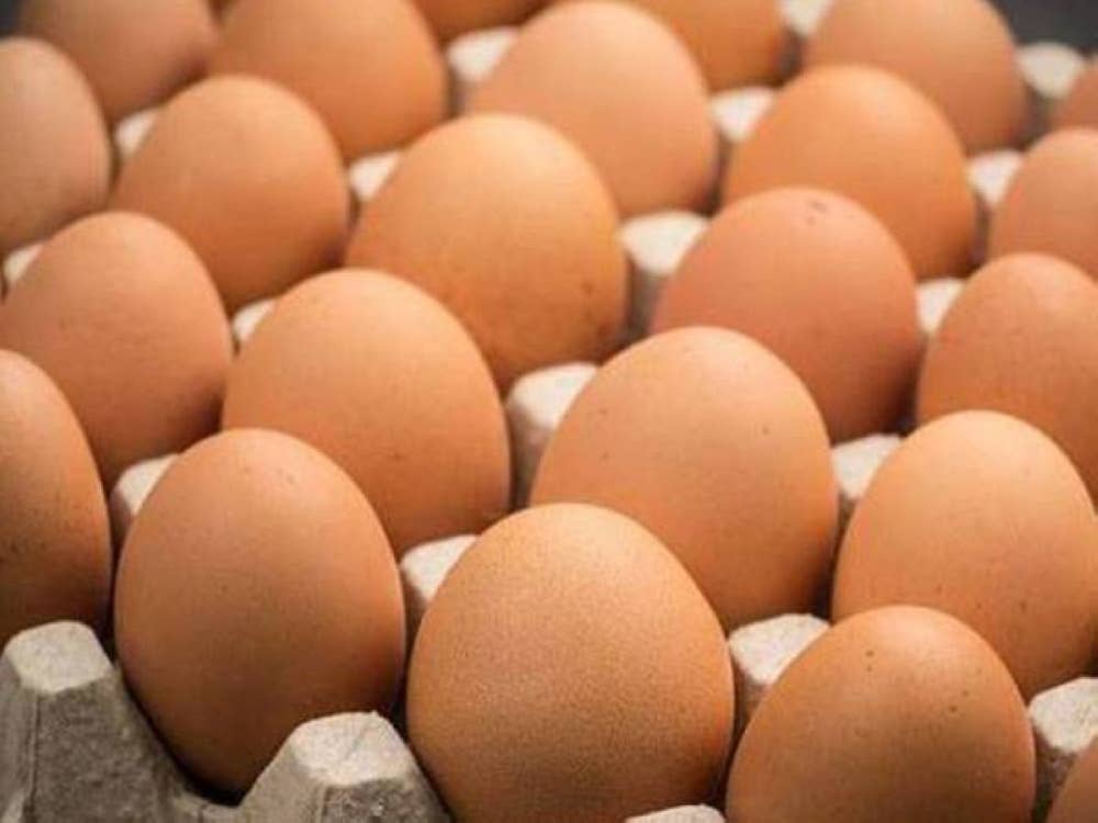 Penduduk New Zealand mengalami kekurangan bekalan telur ayam sejak lebih sebulan yang turut menjejaskan hidangan sempena sambutan Krismas dan Tahun Baharu. - Gambar hiasan