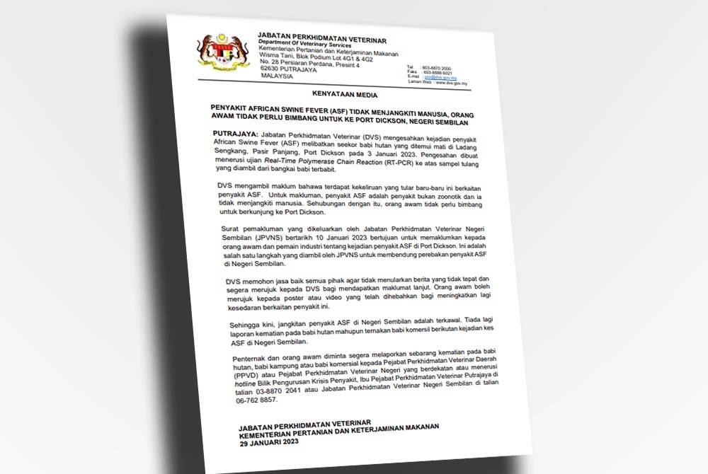 Kenyataan DVS pada Ahad.