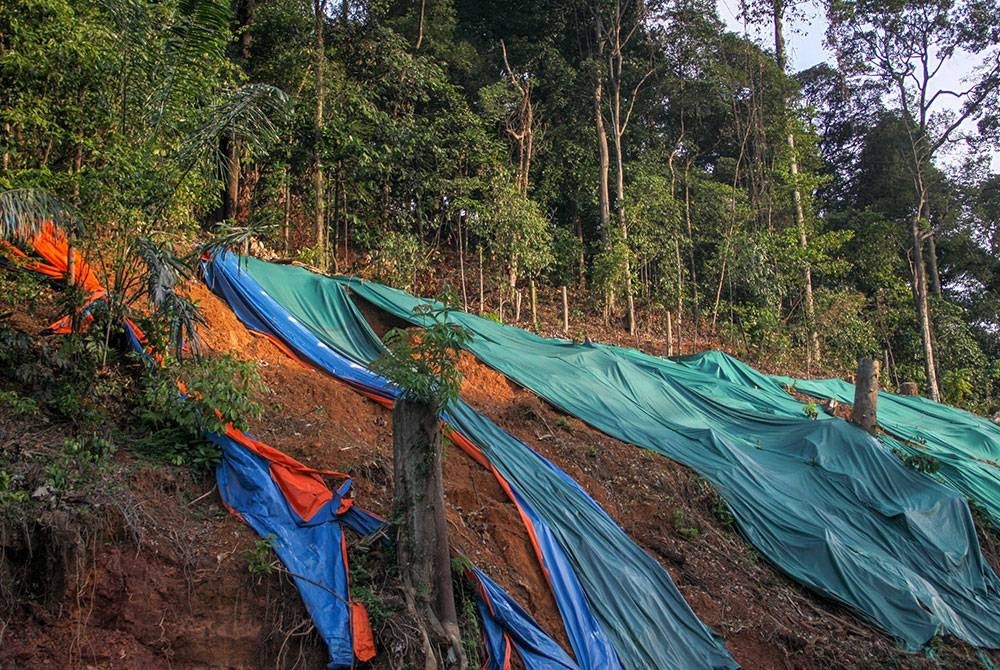 Gambar hiasan - 123RF