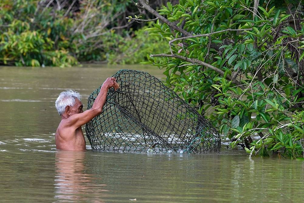 Seorang penduduk Husin Mat, 74, memanafaatkan waktu banjir dengan menangkap ikan dengan menggunakan temilar ketika tinjauan di Kampung Tersang, Rantau Panjang hari ini.