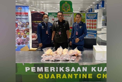 Maqis dan Kastam merampas sosej daging babi dan ayam dari China di KLIA pada Ahad.