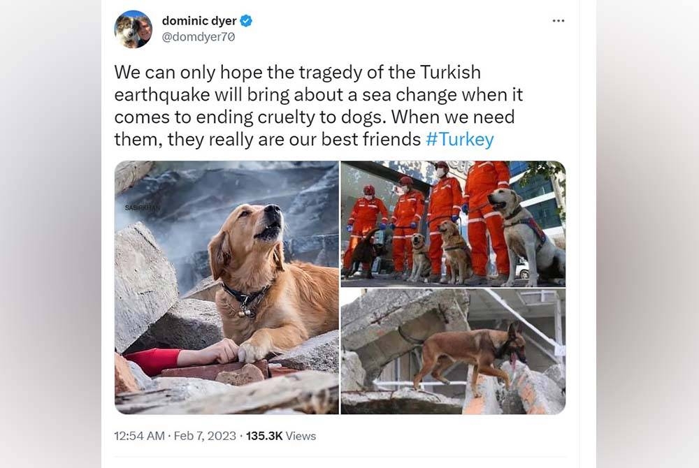 Imej anjing yang kononnya 'meraung' selepas tuannya mati dalam kejadian gempa bumi di Syria. Imej tersebut sebenarnya dirakam pada 2018. - Agensi