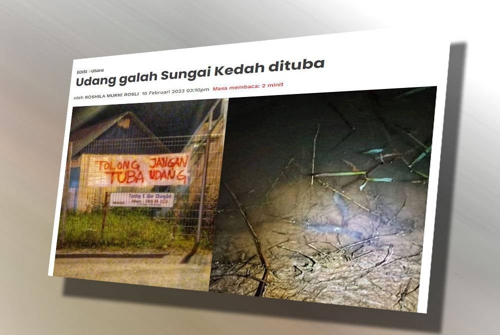 Laporan Sinar Harian pada Jumaat.