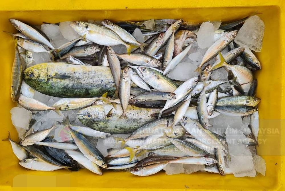 100 kg hasil laut turut dirampas daripada empat nelayan Indonesia tersebut.