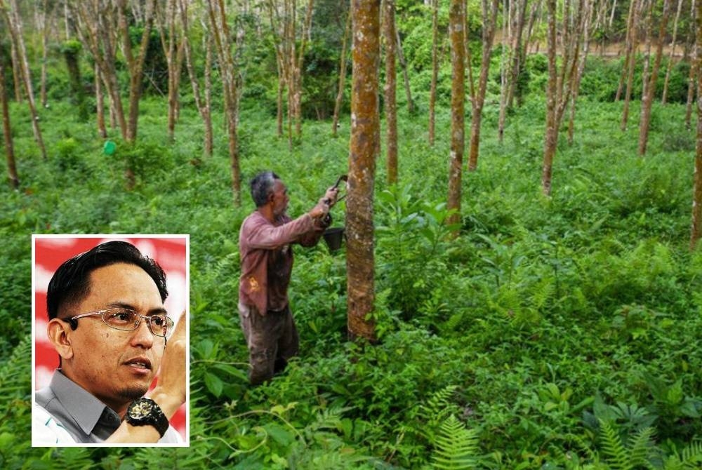 Khairil Nizam mengesyorkan lima inisiatif bagi menyelesaikan masalah pekebun kecil getah.