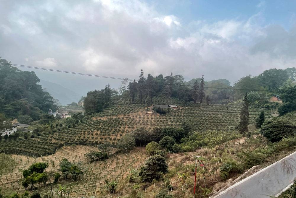 Perjalanan ke Kampung Huanggualu, Malipo, daerah Tianbao di wilayah Yunnan yang terletak kira-kira 1,400 meter dari aras laut. Pada 2014. - Foto Bernama