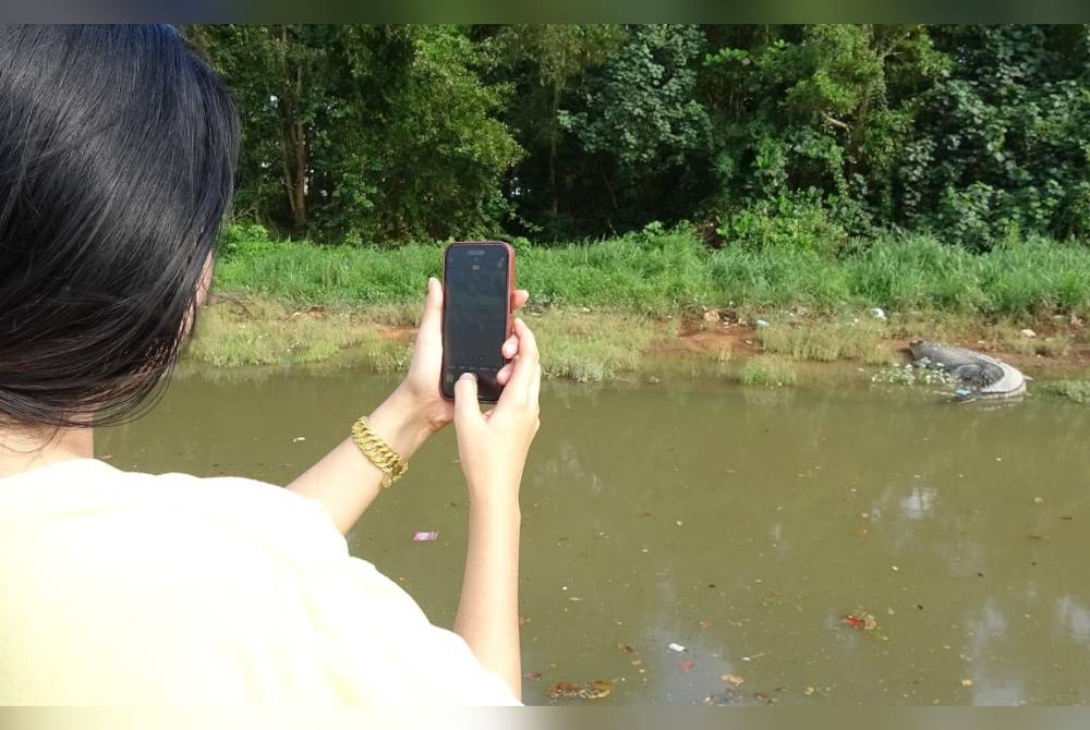 Seorang penduduk merakam gambar reptilia terbabit.