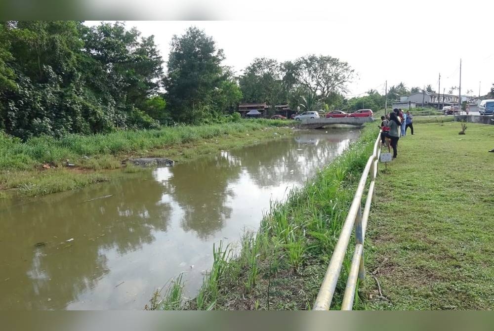 Penduduk di perkampungan Cenderawasih mengambil kesempatan melihat reptilia yang sedang berjemur.