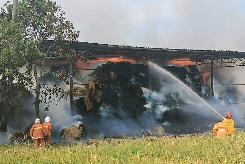 Bomba memadam kebakaran di sebuah gudang penyimpanan jerami di Kampung Batu 4, Sanglang, Kubang Pasu pada Rabu.