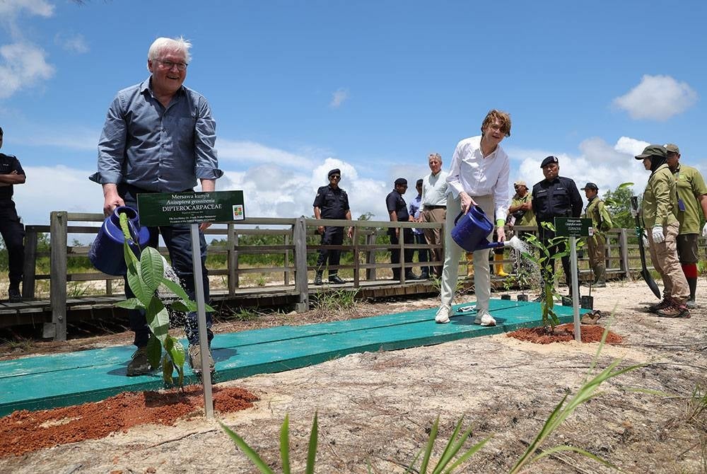Presiden Jerman Frank-Walter Steinmeier (kiri) dan isteri, Elke Budenbender menyiram anak pokok sempena lawatan ke Taman Negara Tanah Lembap Kuching, hari ini.