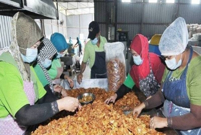 Kerajaan diharap akan memperuntukkan dana yang mencukupi untuk PKS pada Belanjawan 2023. - Gambar hiasan