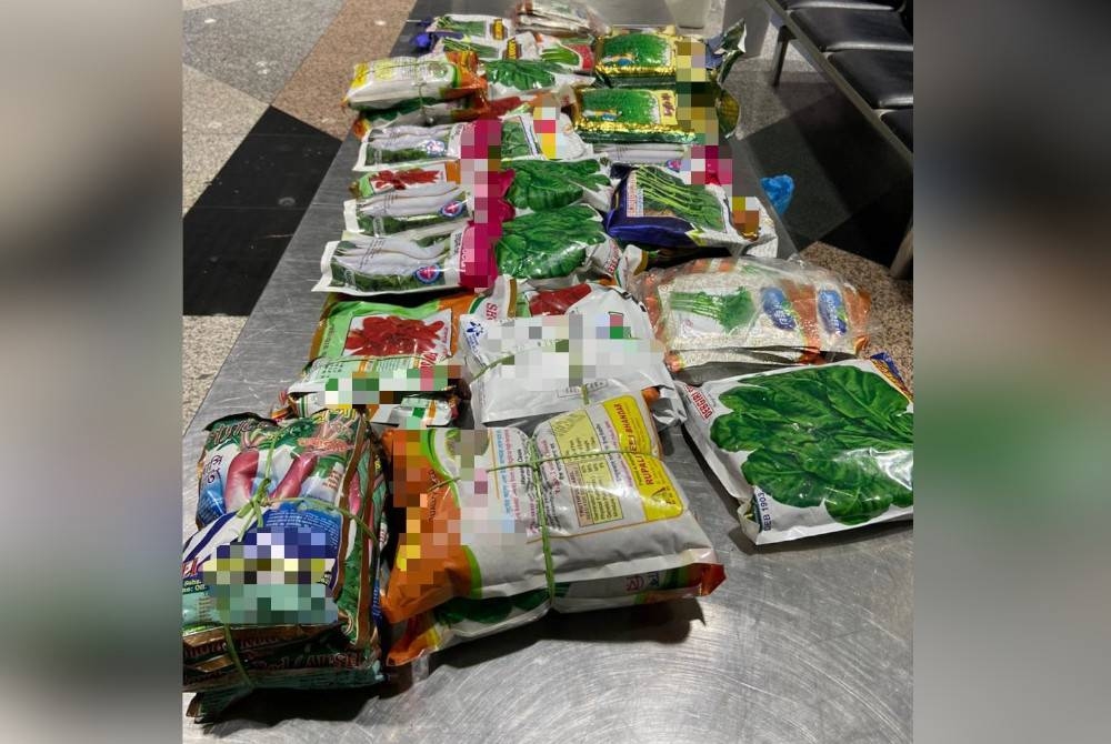 Kesemua paket tersebut mengandungi antaranya pelbagai jenis biji benih sayuran dan buah buahan seperti bayam hijau, sawi, lobak putih, lobak merah, terung, labu, timun, peria, kangkung, terung dan tembikai susu bagi tujuan ditanam di negara ini