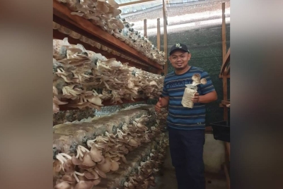 Noor Saiful Amri meminta kerajaan memberi kemudahan kepada usahawan desa memasarkan produk menerusi pembukaan lebih banyak pusat jualan terus.