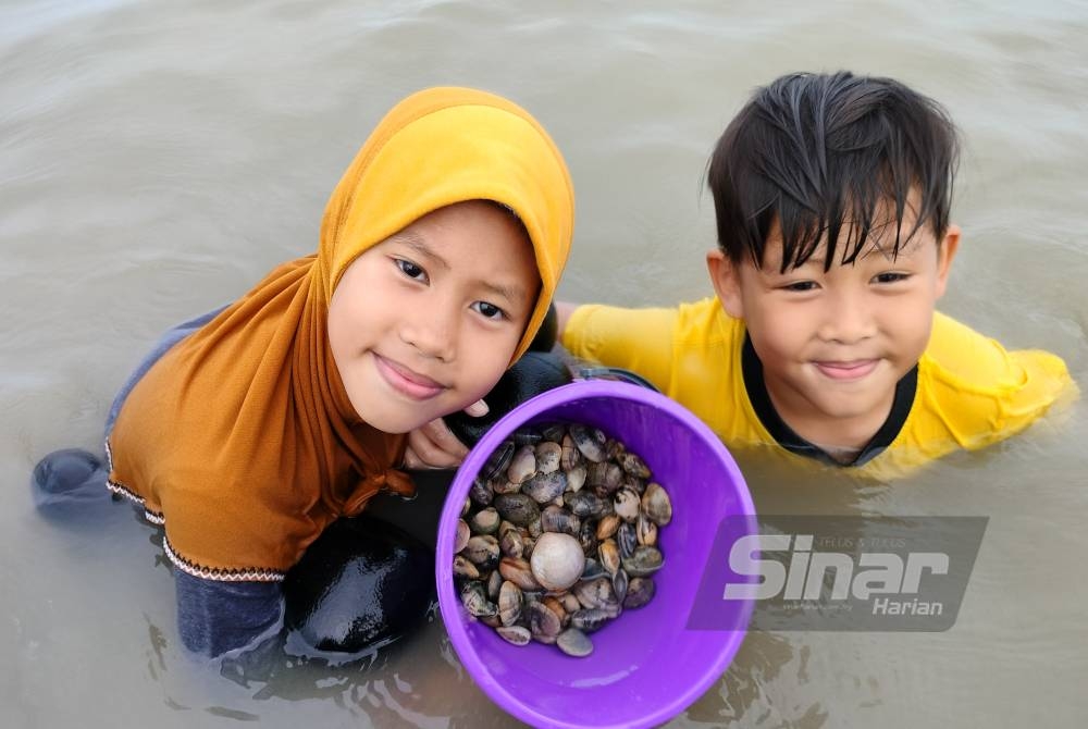 Dua beradik, Damia Maisarah Faizul, 8, dan Muhammad Fateh, 6, turut gembira diberi peluang mengutip siput gayam bersama keluarga di Pulau Sayak, Kota Kuala Muda, Kedah.