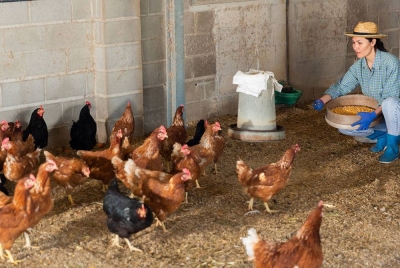 Gambar hiasan - Foto 123RF