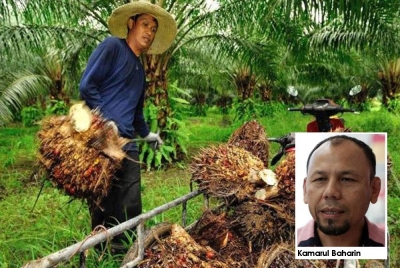 MTUC cadangkan reformasi gaji negara dibuat secara menyeluruh terutama pekerjaan 3D. 