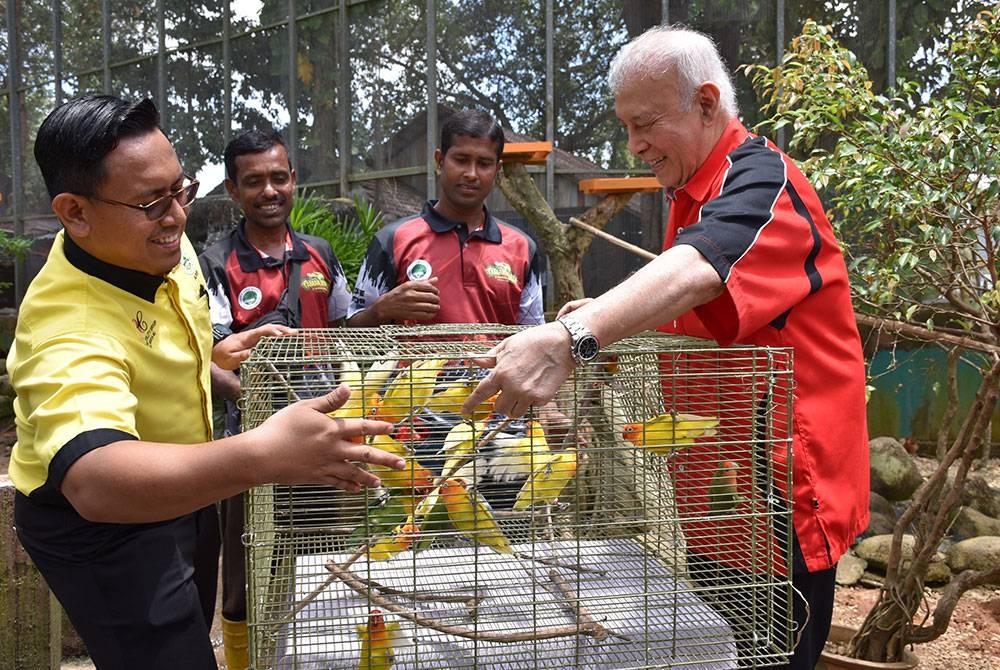 Pengerusi Eksekutif Kumpulan Artac Tan Sri Dr Abdul Rahim Tamby Chik (kanan) dan Pengurus Besar Taman Buaya dan Rekreasi Melaka (TBRM) Ahmad Syarifuddin Mohamad (kiri) menyempurnakan pelepasan Lovebird hari ini.