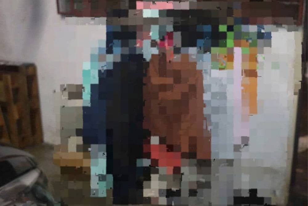 Dua pakaian dalam wanita yang dicuri lelaki terbabit di sebuah rumah di Petaling Jaya, Selangor baru-baru ini.