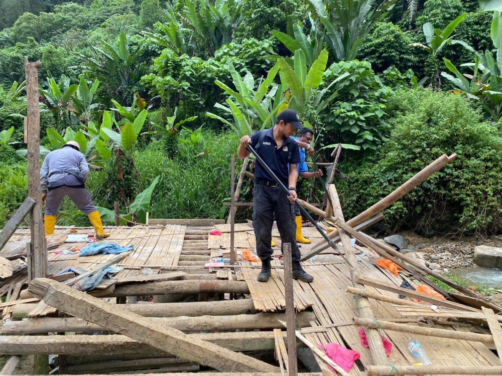 Pondok yang dipercayai digunakan pekebun halia haram dalam kawasan Hutan Simpan Bukit Tinggi dirobohkan dalam operasi bersepadu baru-baru ini.