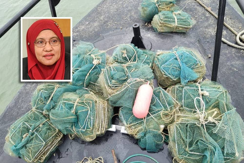 Antara bubu naga yang dirampas dalam operasi Jabatan Perikanan di perairan Selangor. Gambar kecil: Noraisyah Abu Bakar
