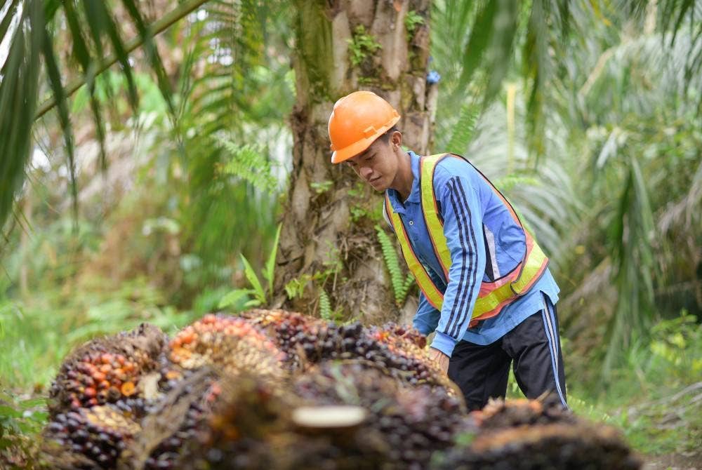 Gambar hiasan - Foto 123RF