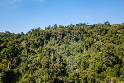 Gambar hiasan - Foto 123RF