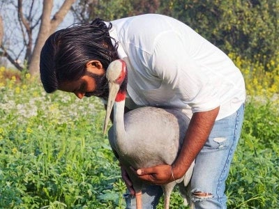 Mohammed sering bermain dengan Bachcha selepas pulang dari kerja di ladang. - Agensi