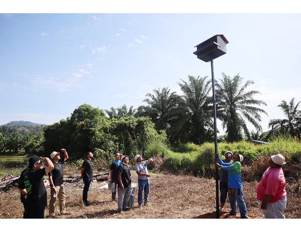 Peserta BOSI diberi penerangan dan demonstrasi pemasangan sarang buatan burung pungguk jelapang.
