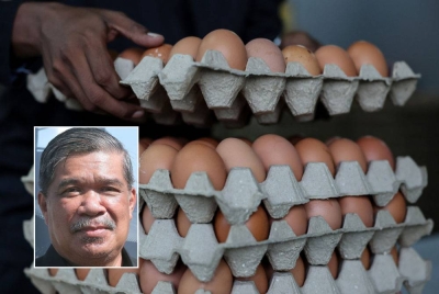 Kementerian Pertanian dan Keterjaminan Makanan menjangkakan pengeluaran bekalan telur ayam dalam negara kembali pulih menjelang hujung tahun ini. - Gambar hiasan, gambar kecil: Mohamad Sabu