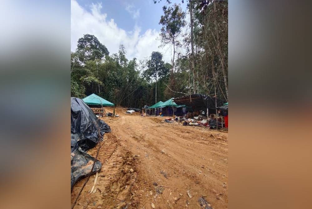 Kawasan lombong haram yang dikesan pihak JPNP di Hutan Simpan Ulu Jelai. - Foto JPNP
