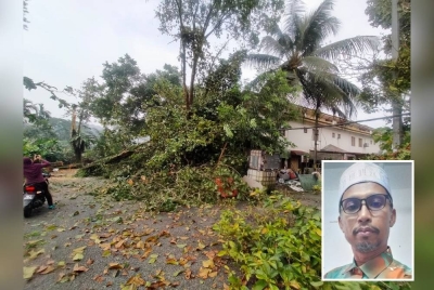 Keadaan rumah Rezal yang dihempap pokok tumbang. (Gambar kecil: Rezal)