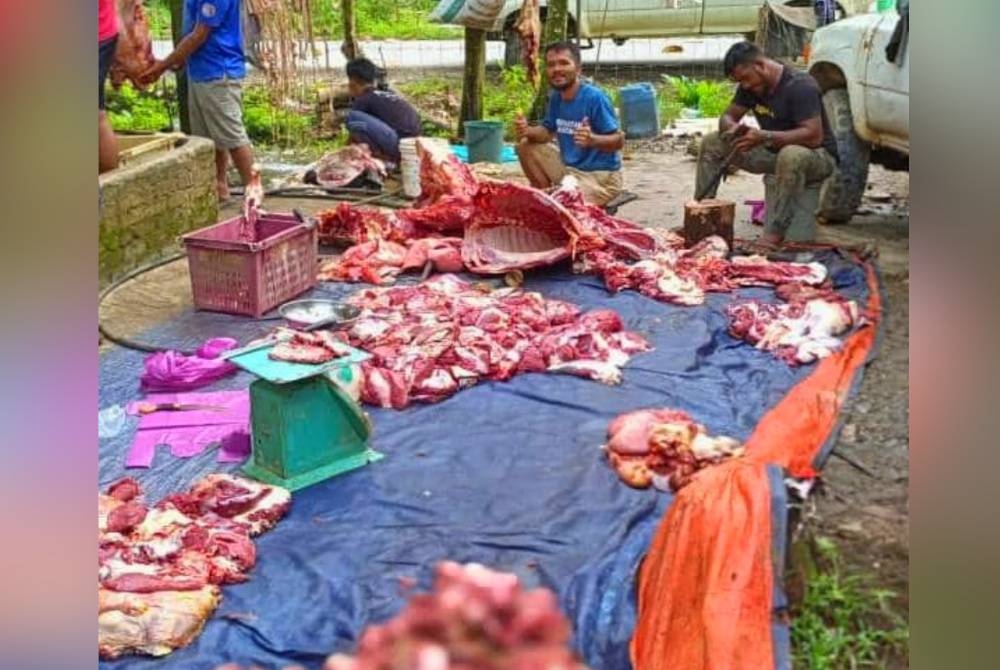 Raja Mohd Paris (dua, kanan) menumbangkan 10 ekor lembu ternakan dan menjual daging segar pada harga 'Rahmah' iaitu RM25 sekilogram sempena menyambut hari pertama Ramadan.