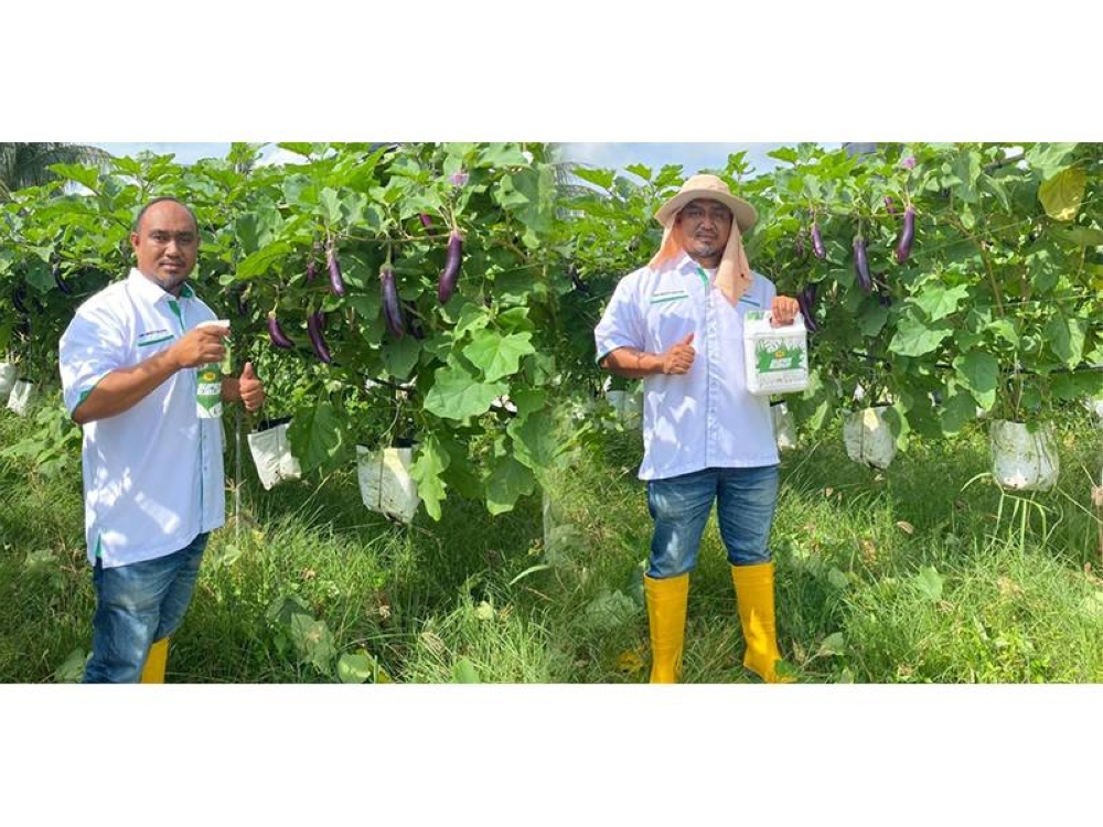 Super Subur yang menggunakan formula ciptaan Muhammad Saifullah sesuai untuk semua jenis pokok dan bunga kini telah dipasarkan ke seluruh negara