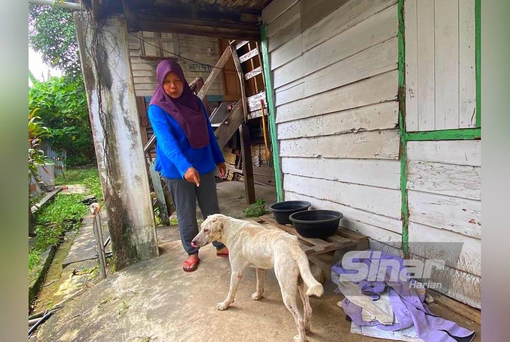 Ujar wanita baik hati ini, walaupun anjing ia tetap binatang yang perlu dikasihani.