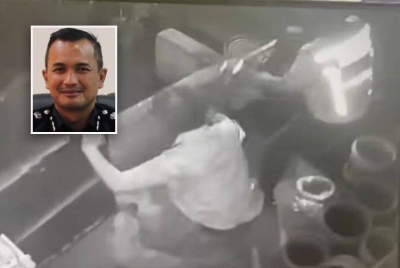 Rakaman insiden yang berlaku di Taman Kanagapuram di Petaling Jaya, tular di media sosial baru-baru ini. - Gambar media sosial (Gambar kecil: Mohamad Fakhrudin)