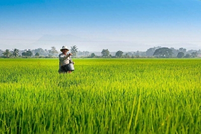 Peruntukan tambahan bukti keprihatinan kerajaan dalam membantu golongan pesawah demi kelangsungan hidup terutama ketika bulan Ramadan. - Gambar hiasan 
