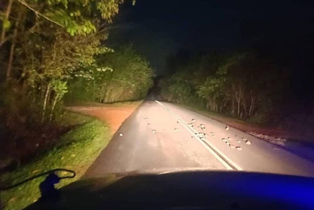 Timbunan batu-batu di laluan tersebut