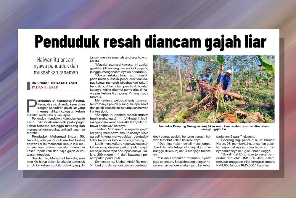 Laporan Sinar Harian pada 7 April 2023.