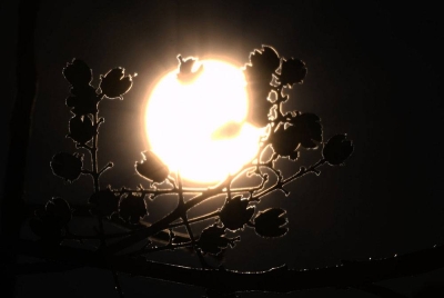 Cuaca panas sehingga bacaan suhu setakat 12 tengahari ialah 32 darjah celcius.