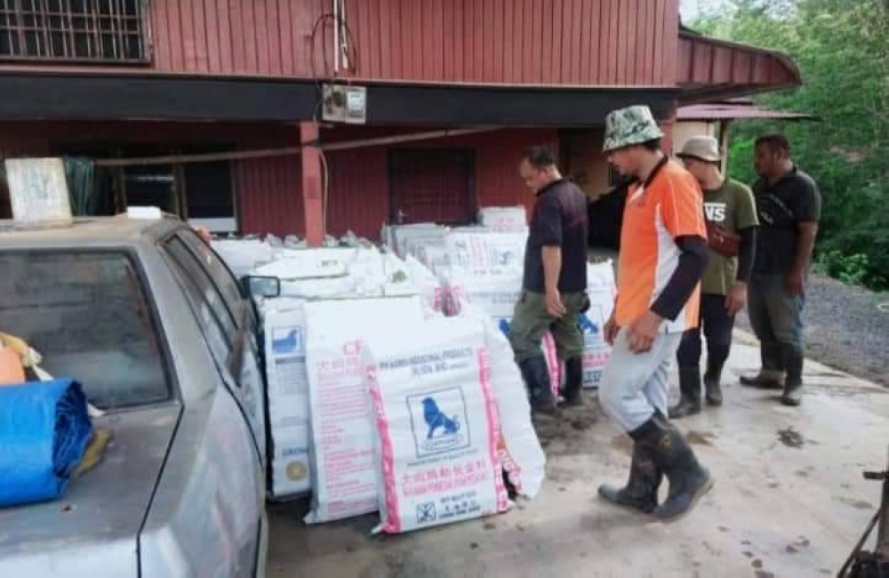 Keluarga turut membantu mengumpuldan menyusun buluh lemang ke dalam guni.