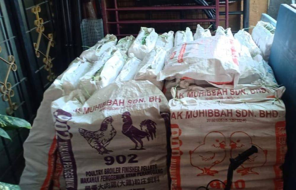 Buluh lemang yang siap dibungkus untuk dihantar.