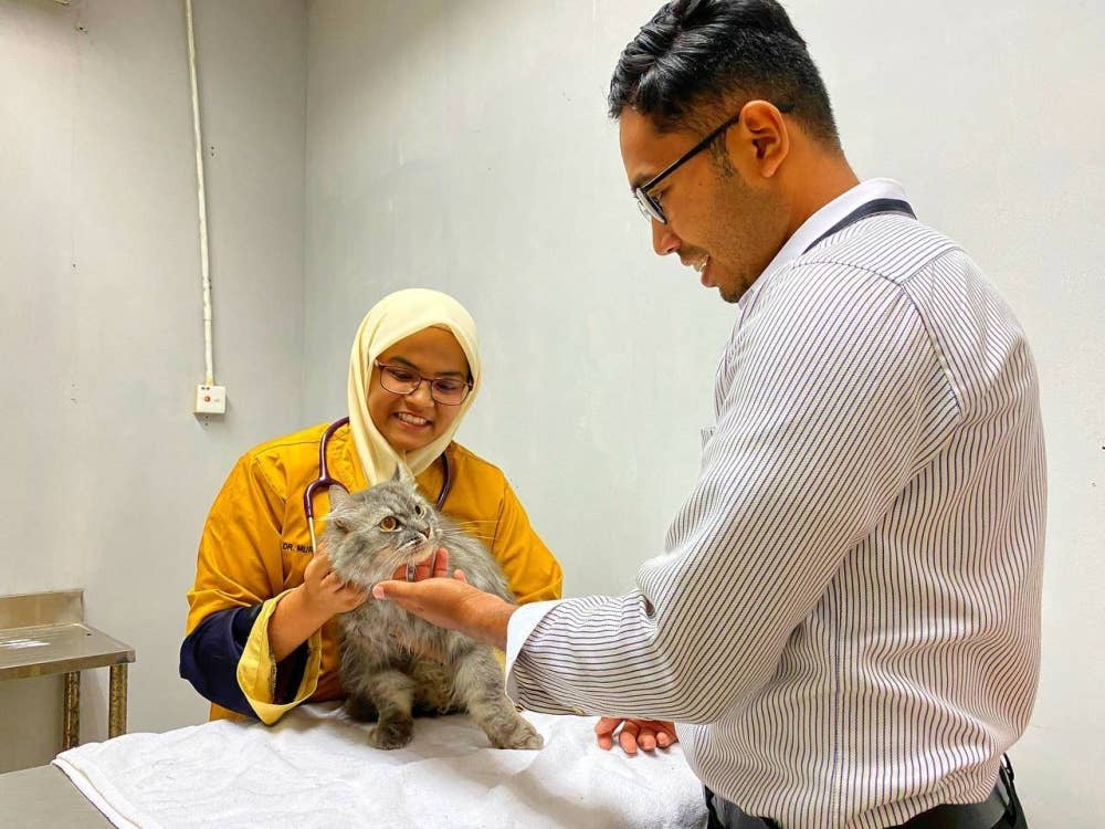 Dr Murshidah (kiri) melakukan pemeriksaan terhadap kucing sebelum dan selepas menginap di hotel.