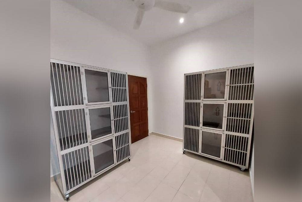 Bilik penginapan untuk kucing di Koshka Cat Hotel.